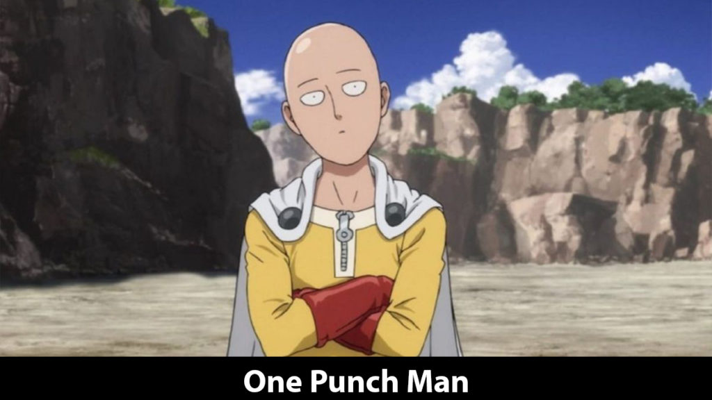 One Punch Man (One Punch Man)