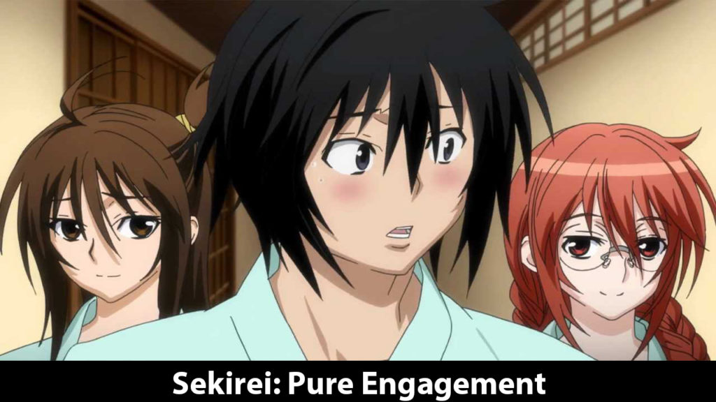 Sekirei: Pure Engagement