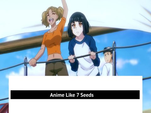 Anime Like 7 Seeds