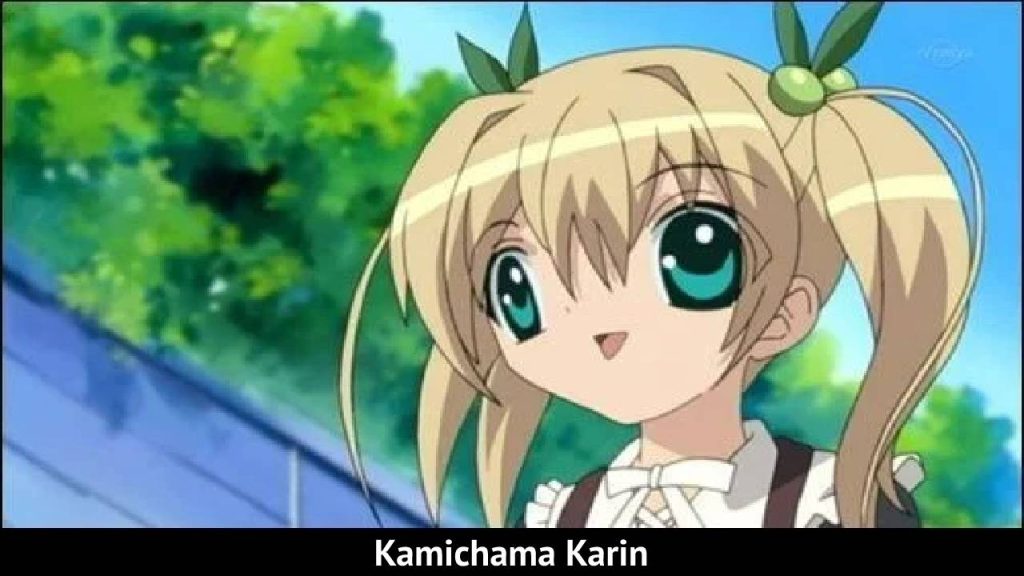Kamichama Karin