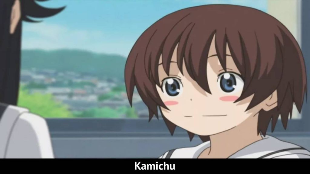 Kamichu  