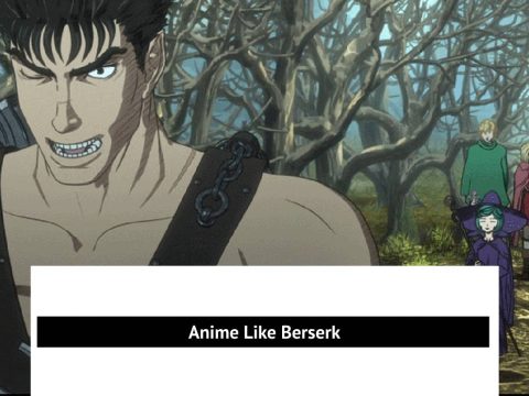 Anime Like Berserk